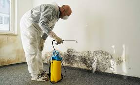 Best Attic Mold Removal  in Claude, TX