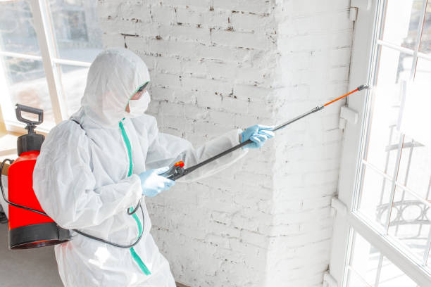 Best Industrial Mold Remediation  in Claude, TX