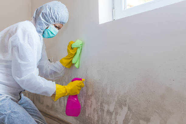 Best Mold Removal for HVAC Installations  in Claude, TX